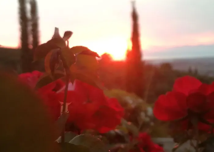 Casa73 Alojamento de Acomodação e Pequeno-almoço